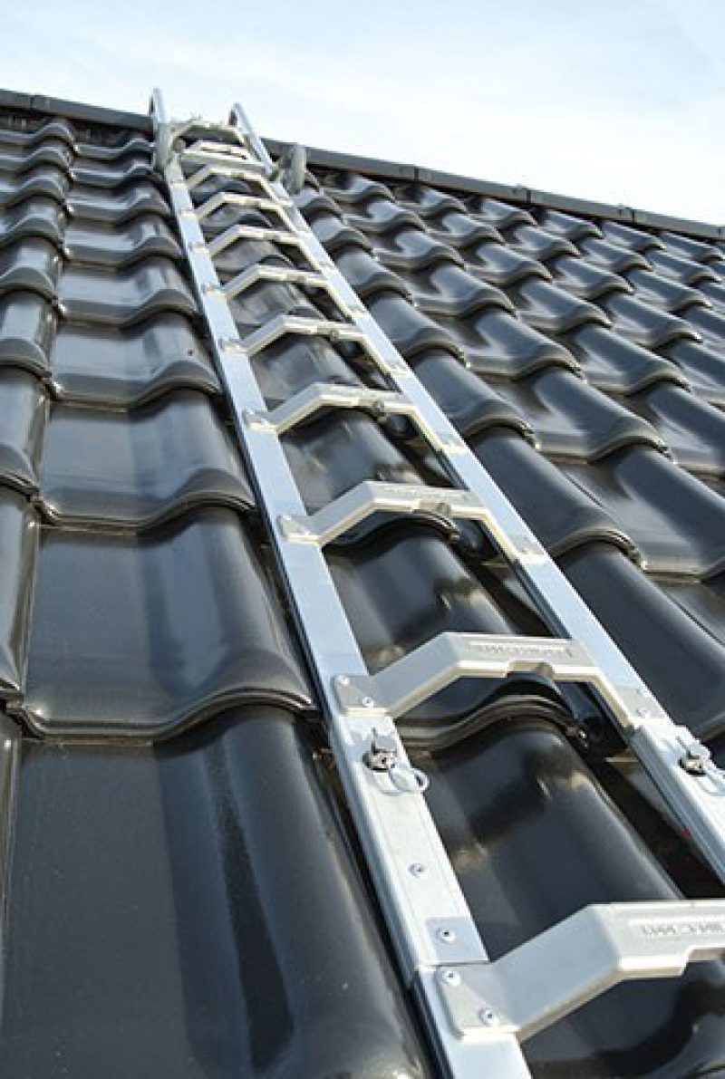 Altrex dakladder